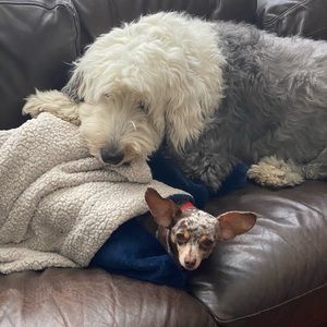 Meet your Posher, Eden